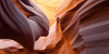 Schistosité logo #10641